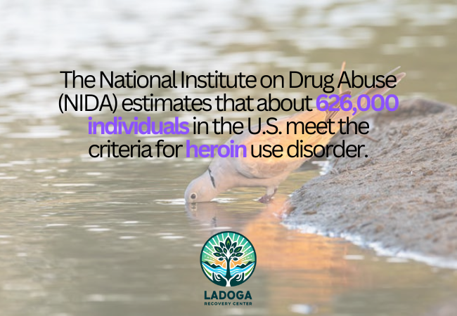 Statistics on Heroin Use and Addiction